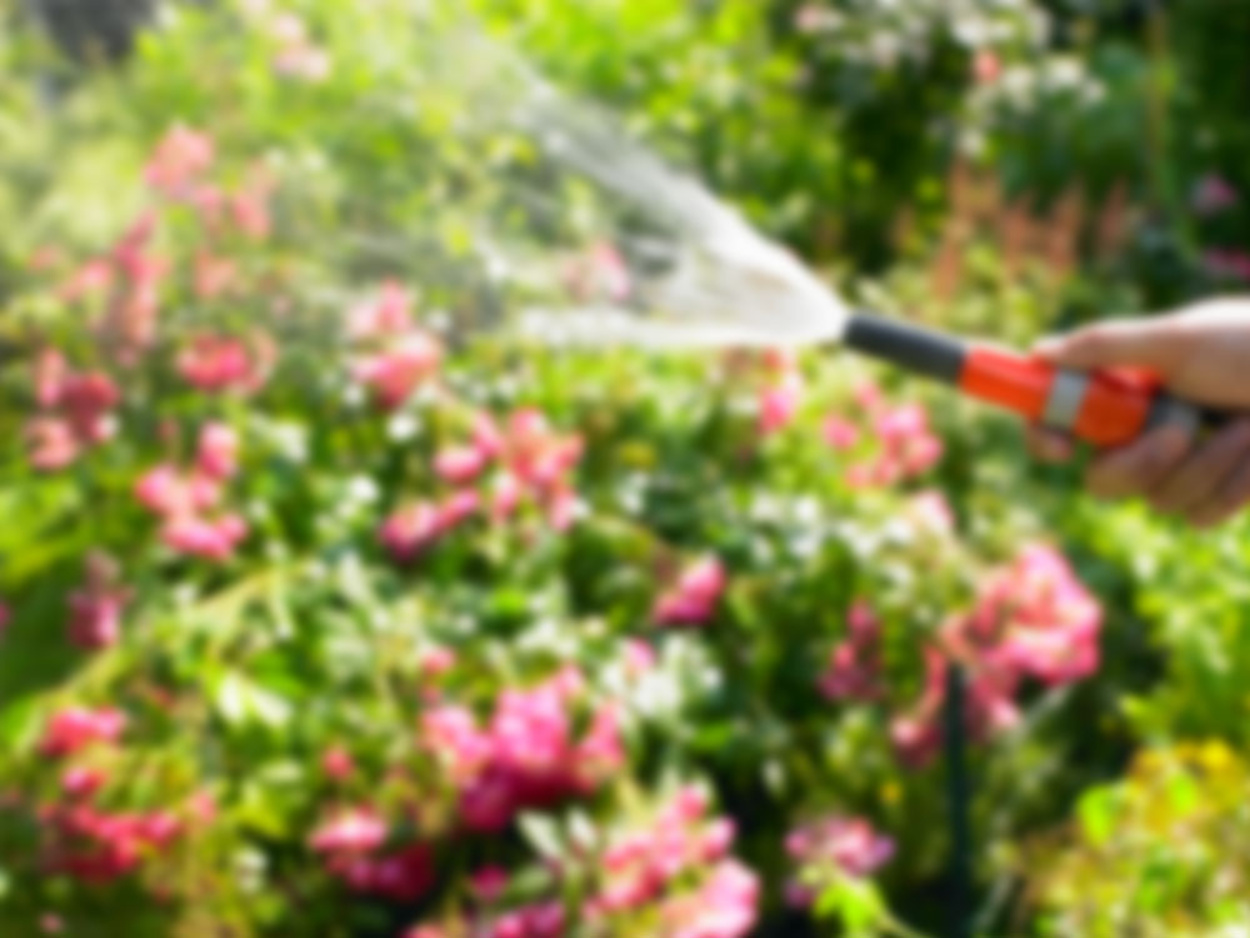 Regen­wasser­nutzung bei SET-OZON GbR in Fernwald